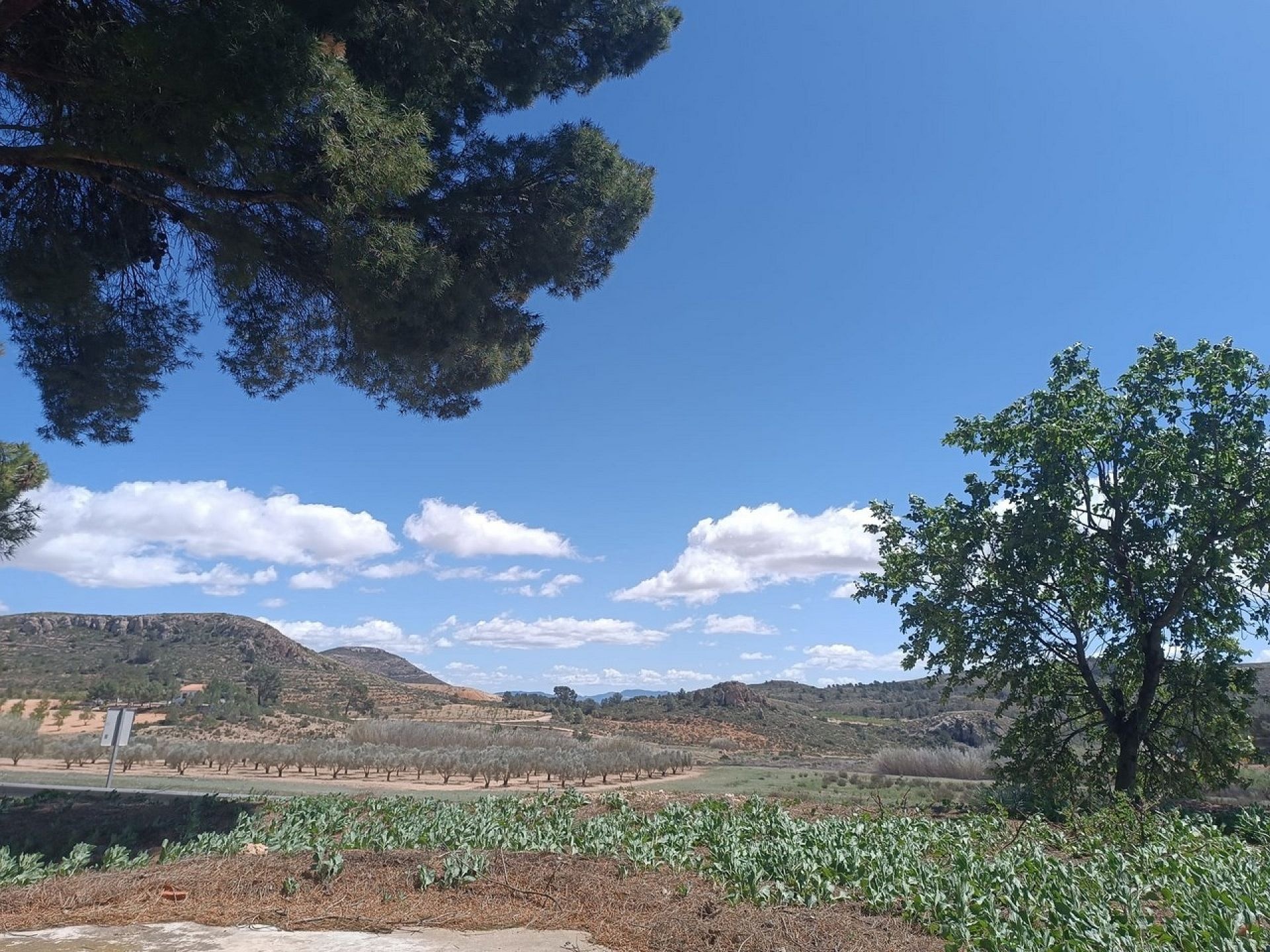 Country house Yecla Alicante inland Spain
