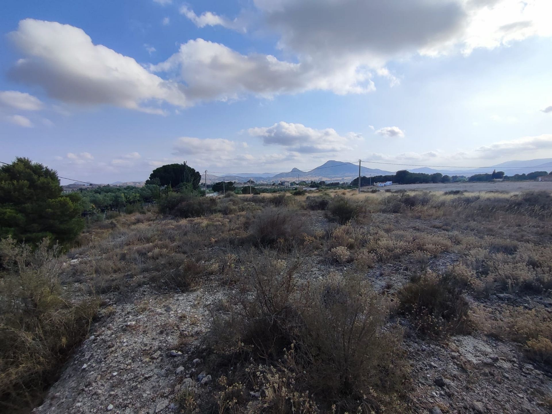 Terrain Sax Alicante intérieur Espagne