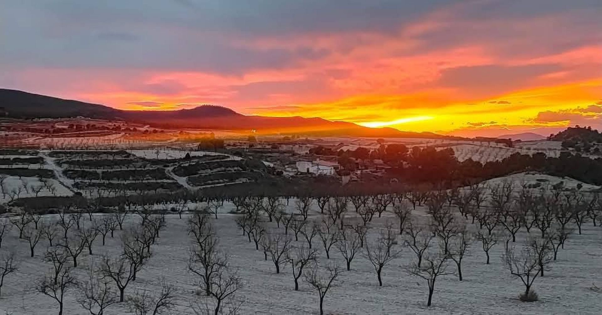 Country house in La Zarza