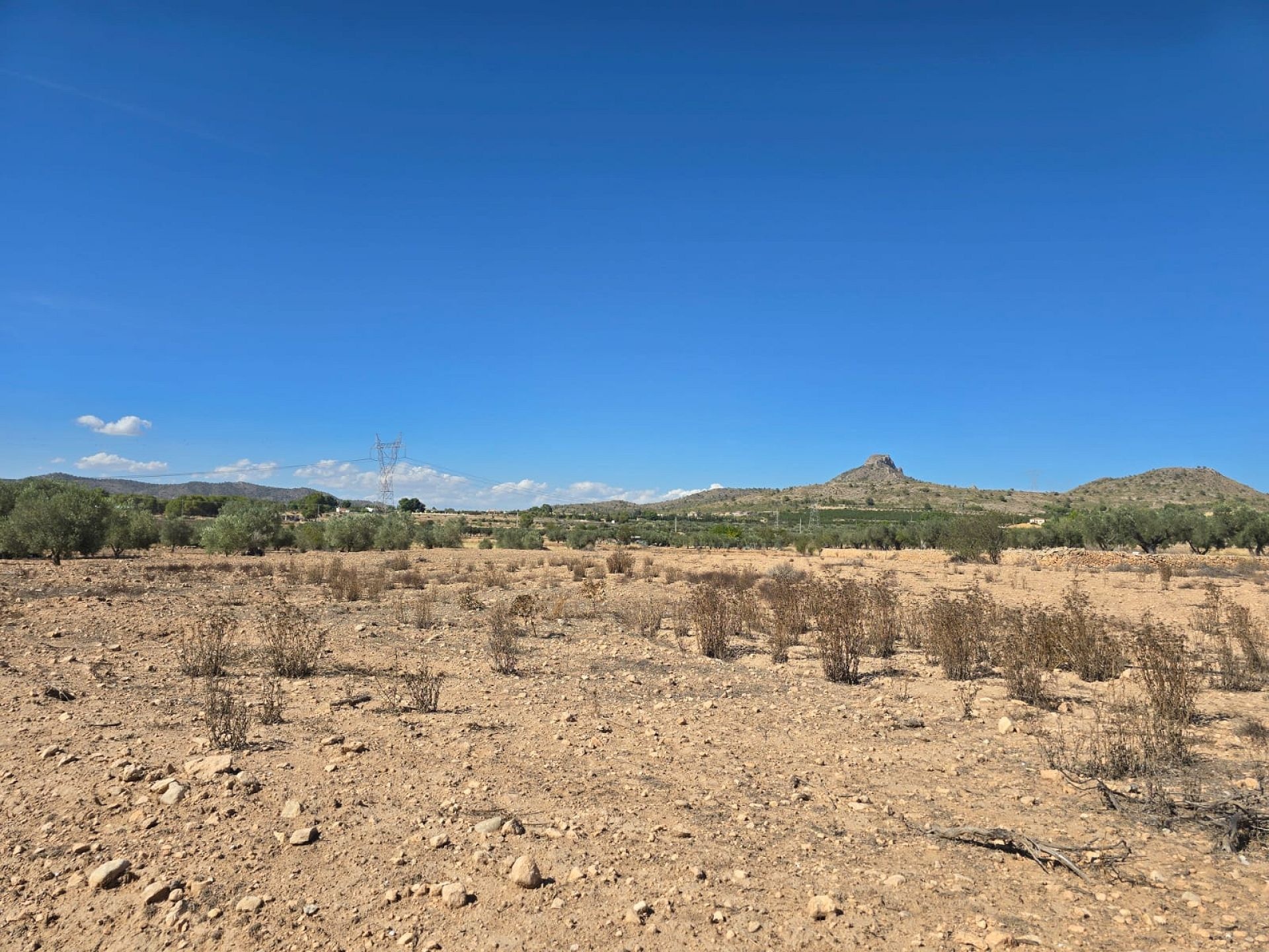 Land in Salinas